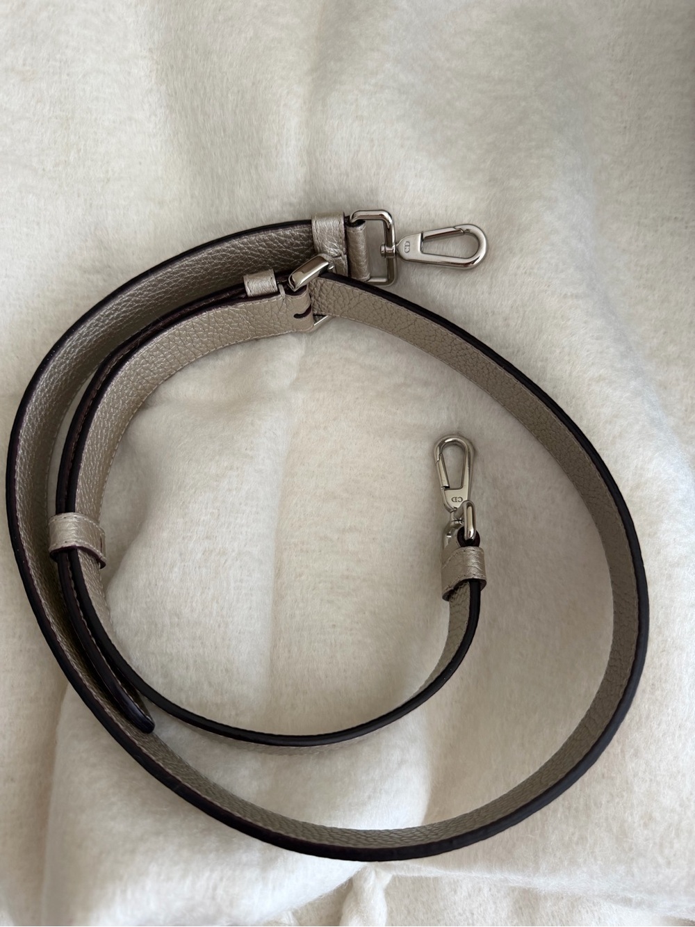 Dior Metallic Leather Strap with Silver Hardware